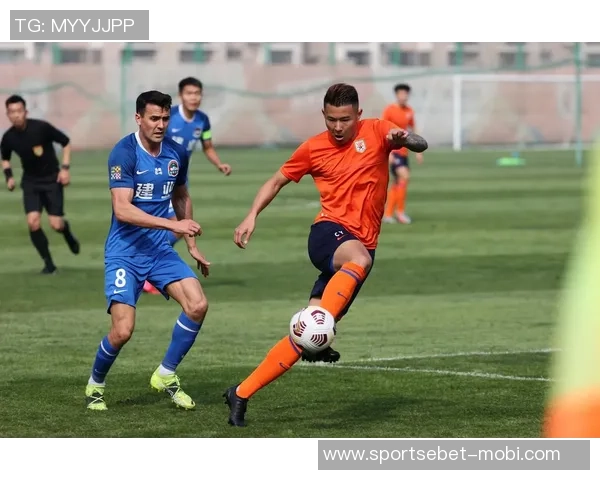 鲁媒报道泰山队计划引进外援中卫中场及两三名实力派内援提升球队竞争力