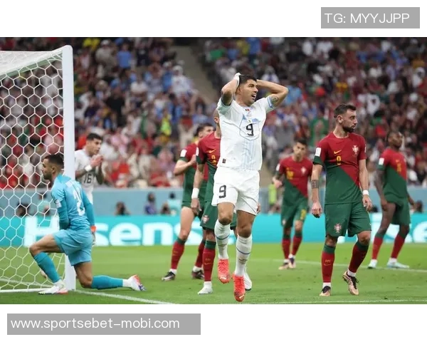 葡萄牙豪华阵容解析中场双核与后防新星的完美组合